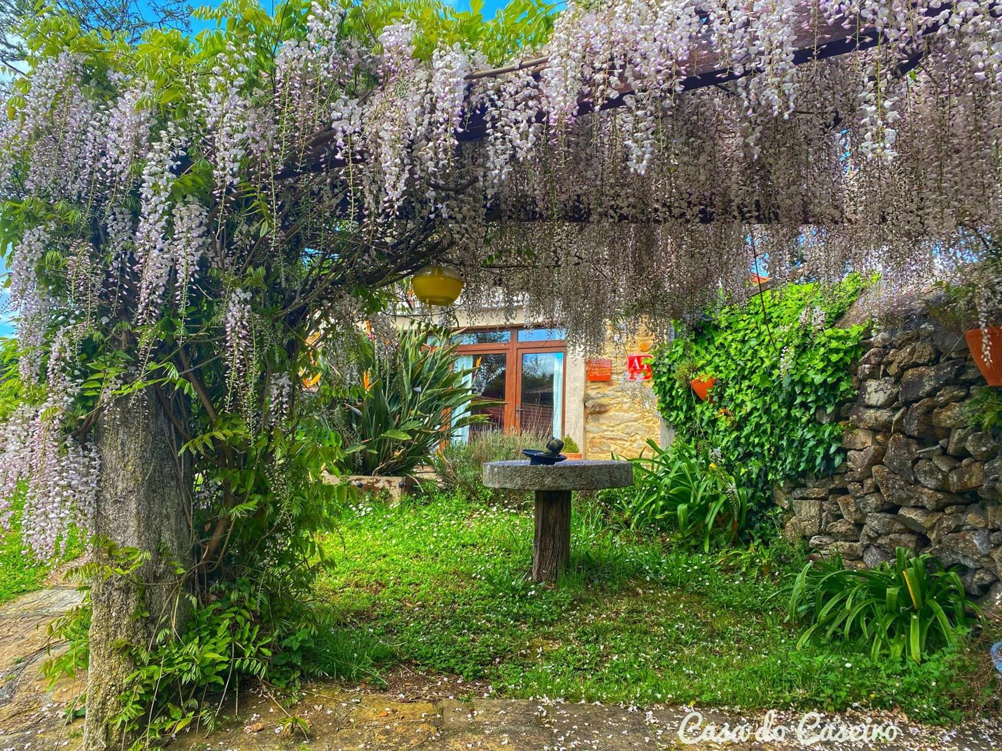 Casa Do Caseiro A Costa Da Morte Xornes Εξωτερικό φωτογραφία